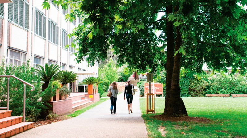 CIT-Camberra-Reid-Jardins